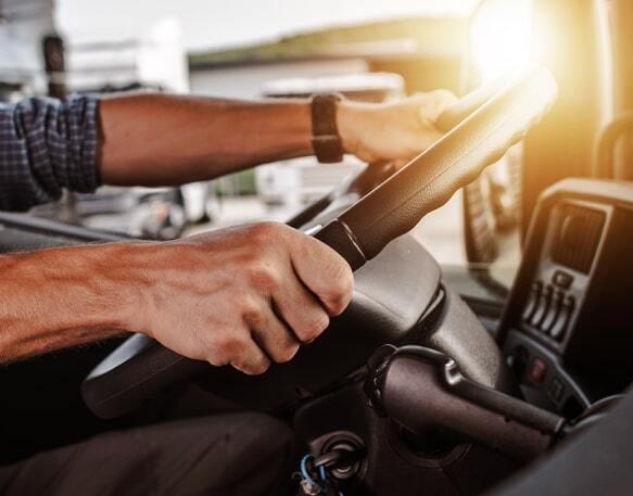 DAT People Driver Holding Steering Wheel