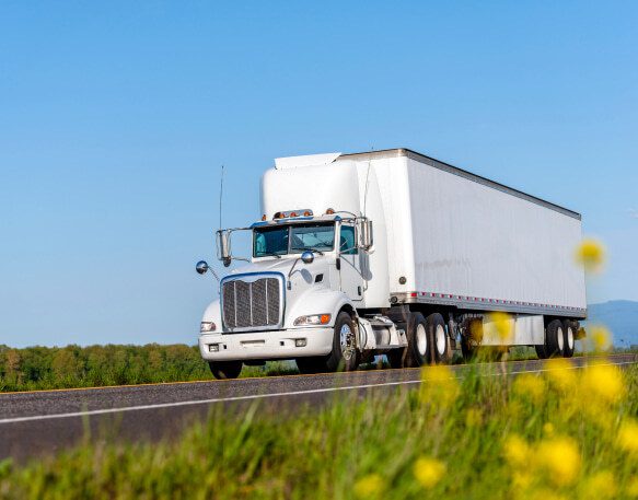 A white truck drives past a grassy field with yellow dandelions.