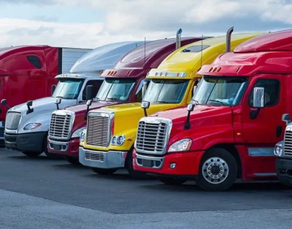 Brightly colored truck trailers of various models parked in a line.