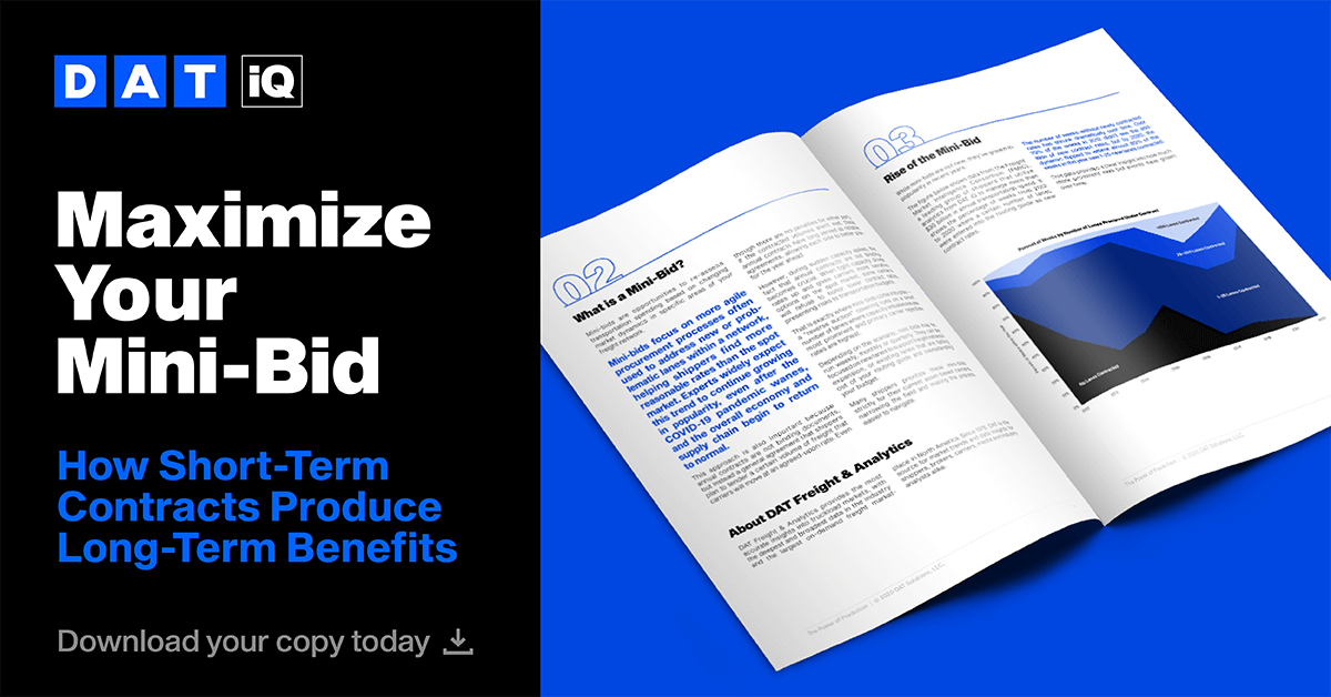 Ebook Maximize Your Mini Bid Promo Ebook Maximize Your Mini Bid Promo